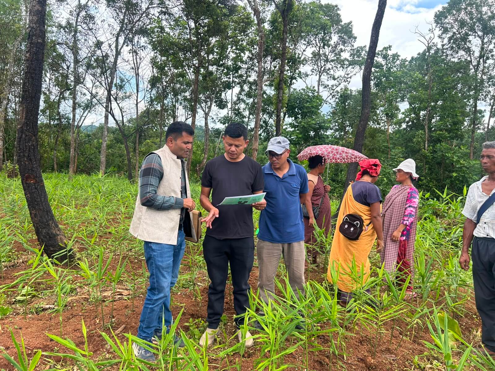 Biochar Project - Image 10
