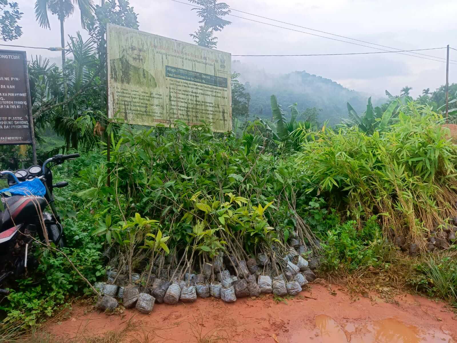 Nature Based Carbon Finance Project - Image 4