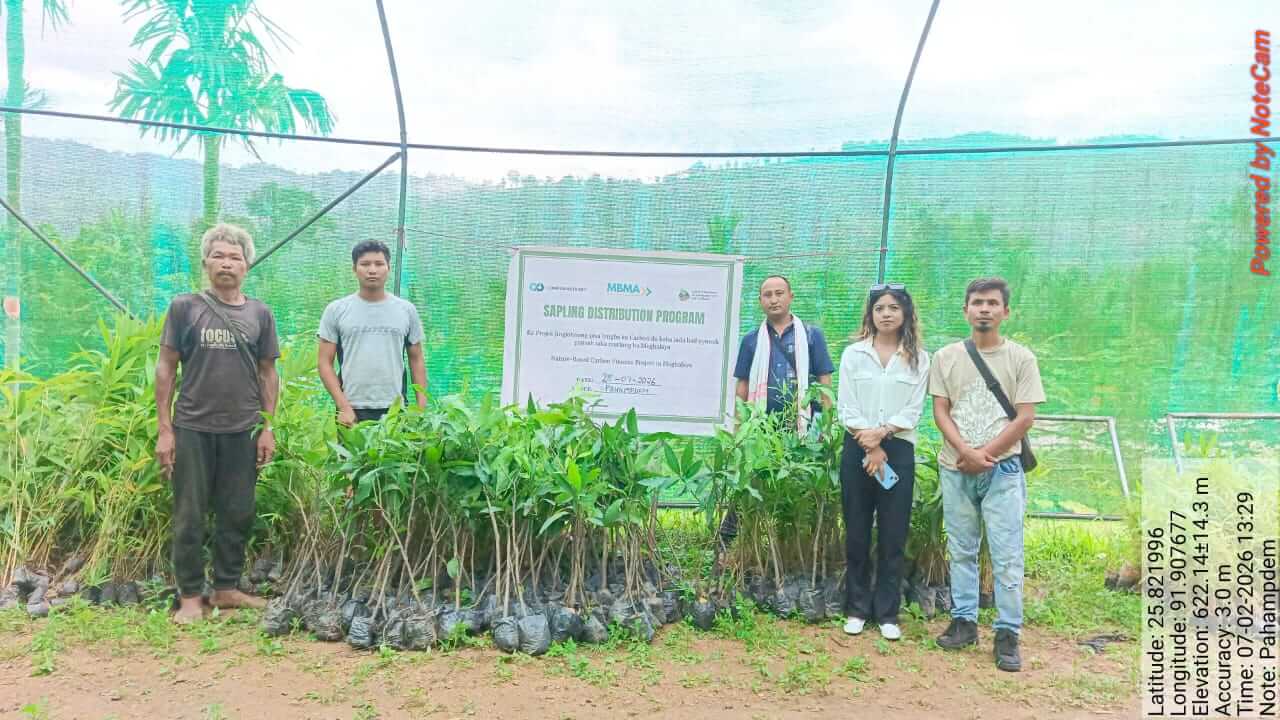 Nature Based Carbon Finance Project - Image 8