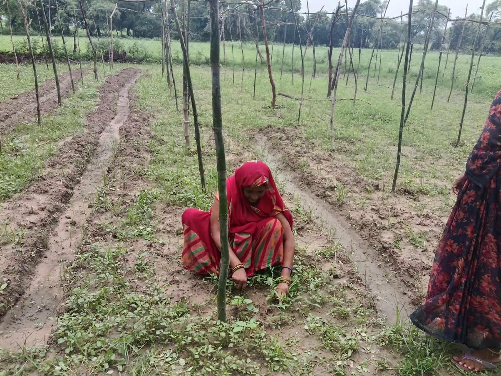 URJA Project - Image 10