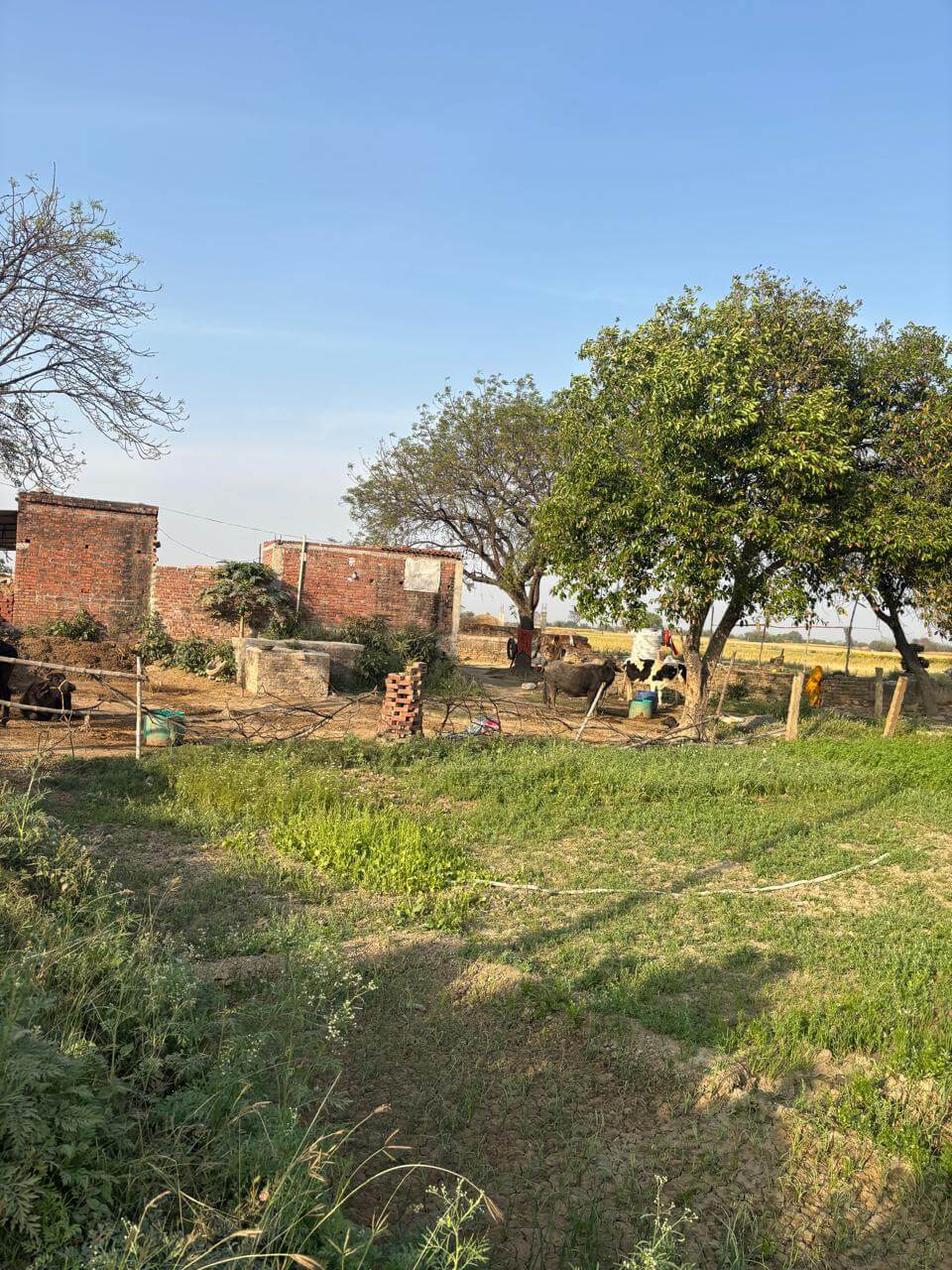 URJA Project - Image 5