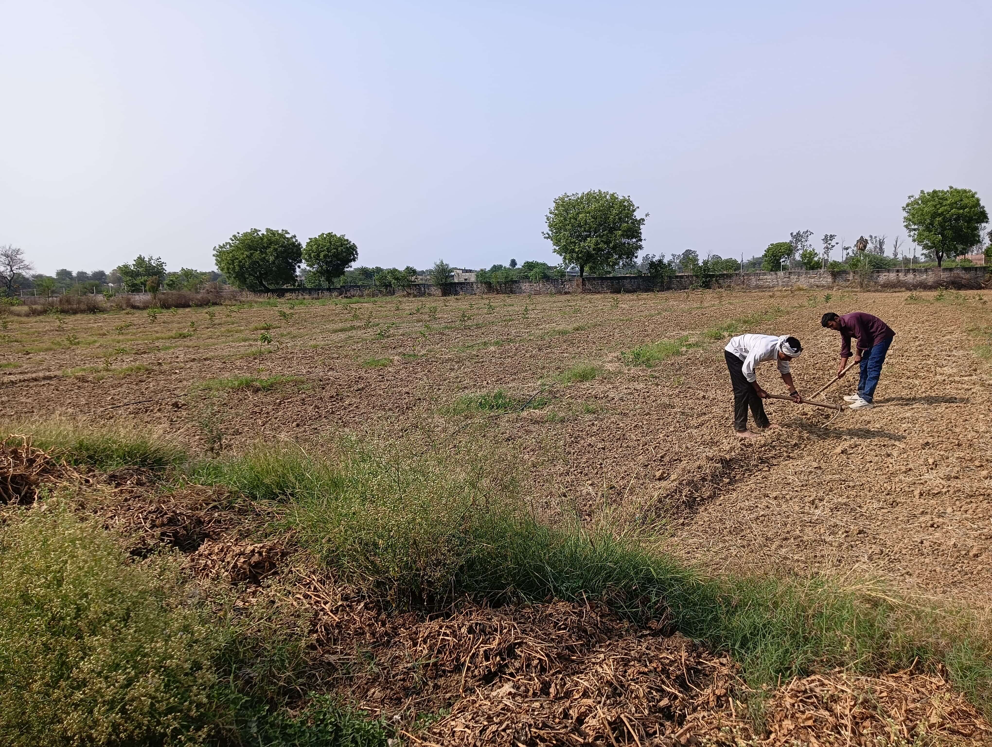 URJA Project - Image 9